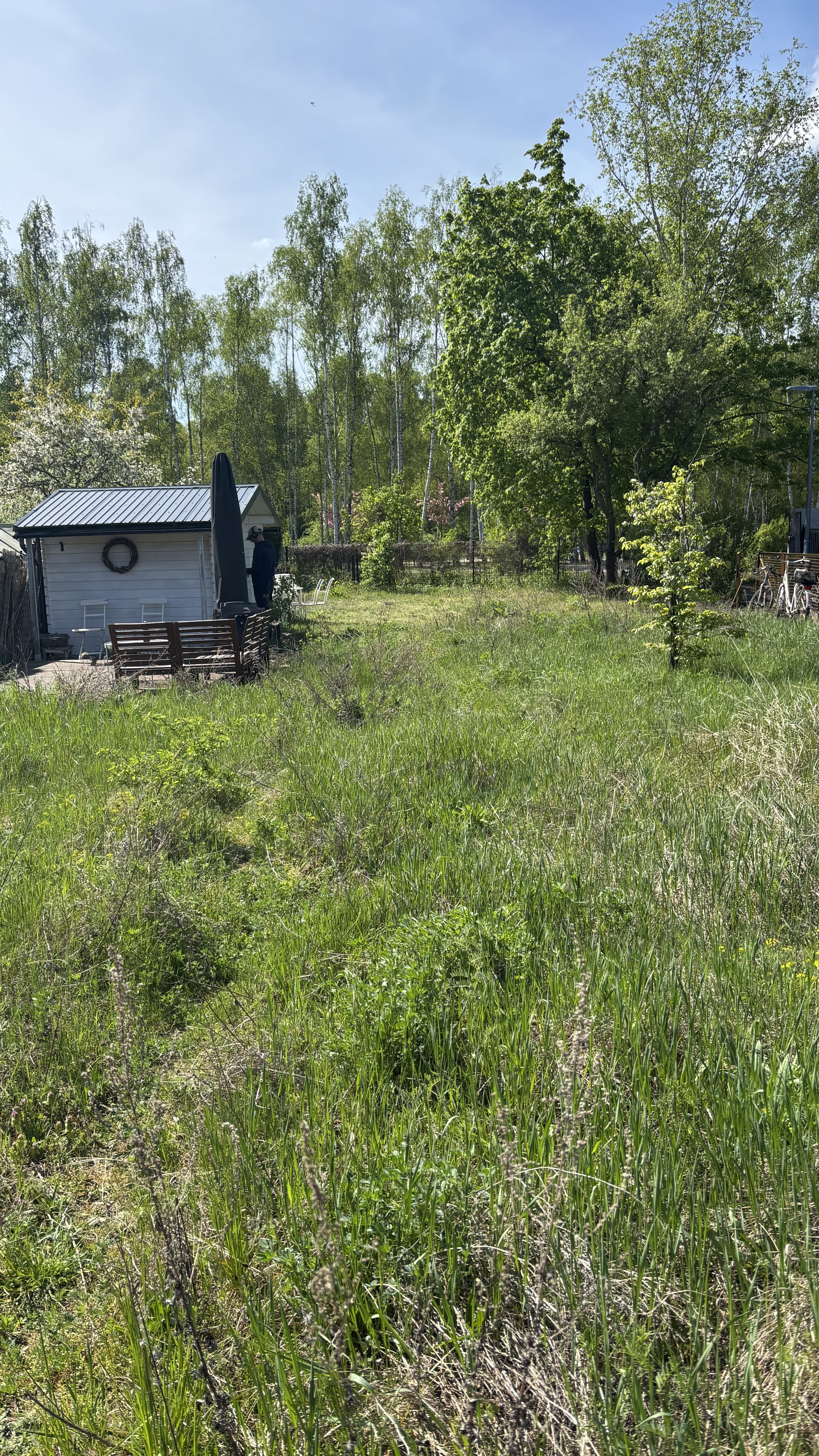 Blick zur angrenzenden Grünfläche